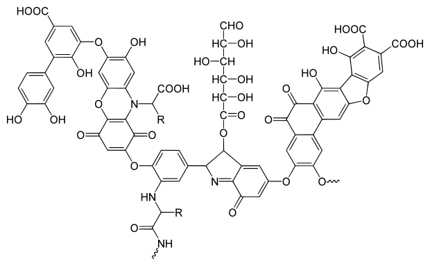 Molecular formula of humus